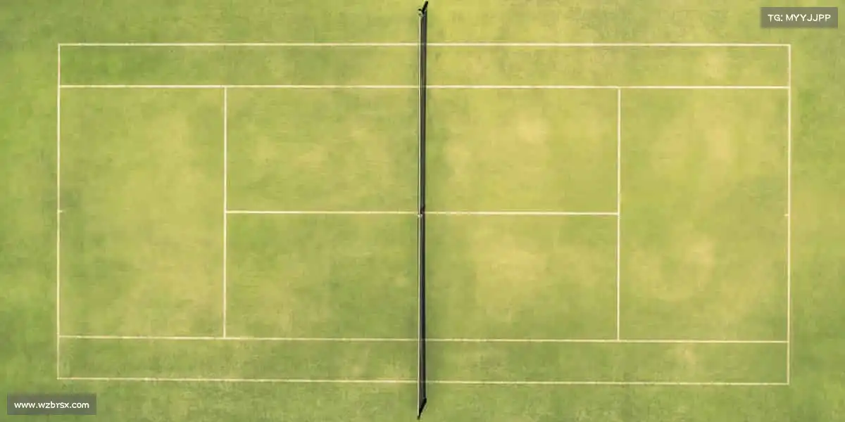 米乐电竞——🌟运动点亮生活,品质铸就未来 —— 你的体育官网,值得信赖!